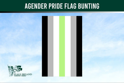 Agender pride flag bunting with a blue sky background and Flags Ireland logo.