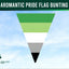 Aromantic Pride flag triangle bunting shades of green white grey and black against a blue sky