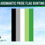 Aromantic Pride Flag Bunting with a clear sky background