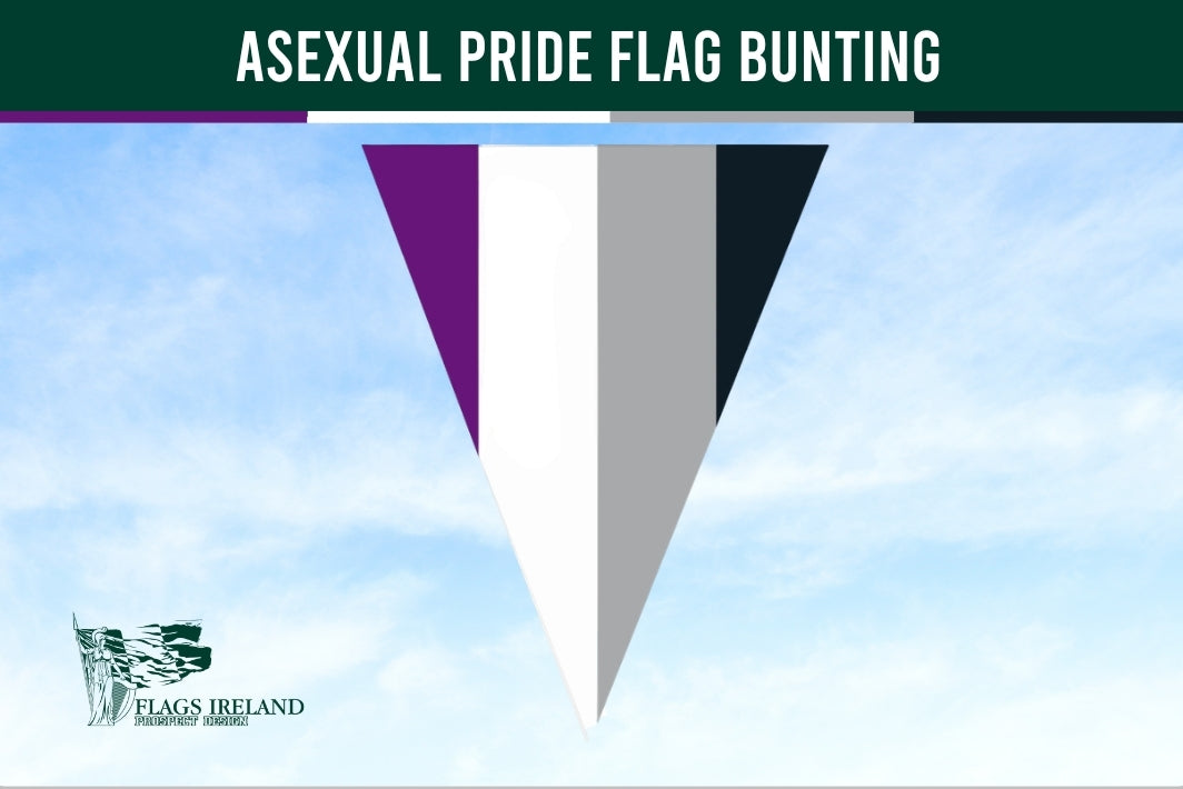 Asexual pride flag bunting against a blue sky with 'Flags Ireland' logo.