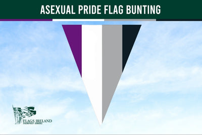 Asexual pride flag bunting against a blue sky with 'Flags Ireland' logo.