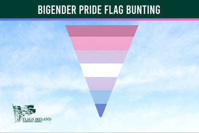 Bigender pride flag bunting with a blue sky background and Flags Ireland logo.