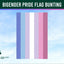 Bigender pride flag bunting with a clear sky background and Flags Ireland logo.