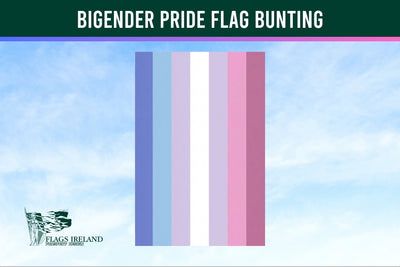 Bigender pride flag bunting with a clear sky background and Flags Ireland logo.