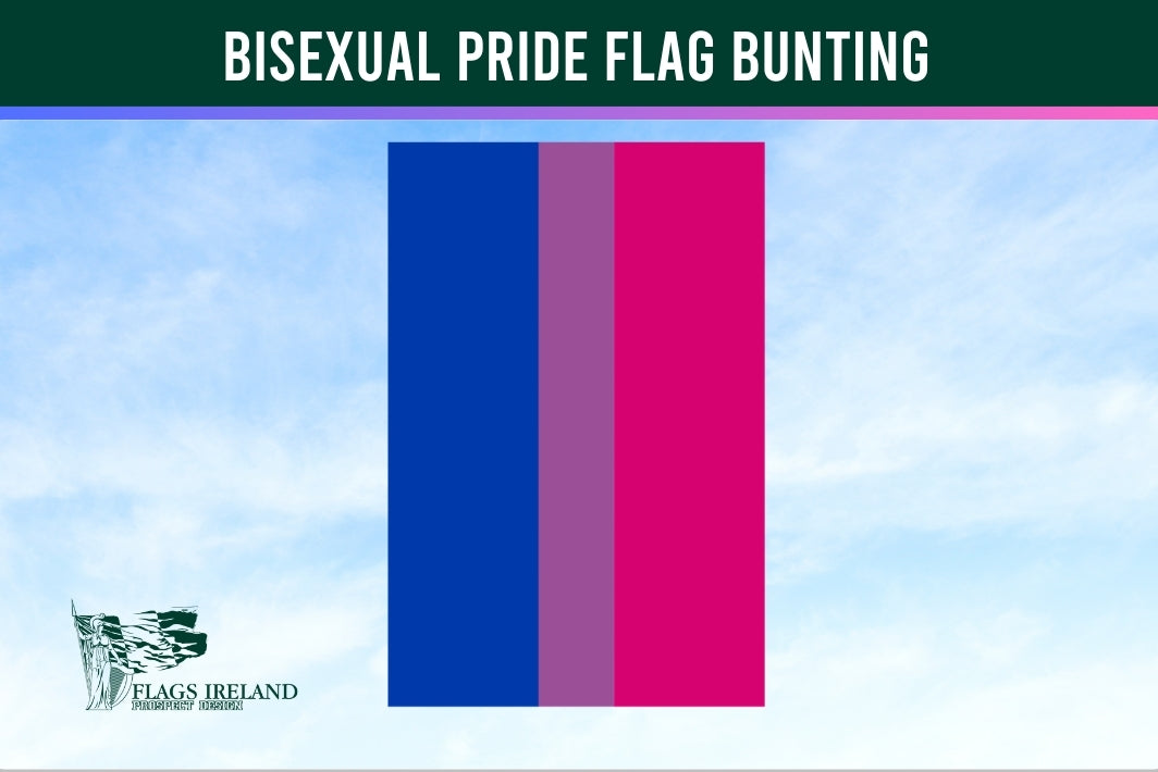 Bisexual pride flag bunting with 'Flags Ireland' logo against a blue sky.