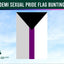 Demi sexual pride flag bunting with a clear sky background, featuring the Flags Ireland logo.