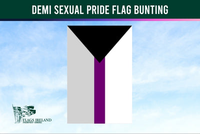 Demi sexual pride flag bunting with a clear sky background, featuring the Flags Ireland logo.