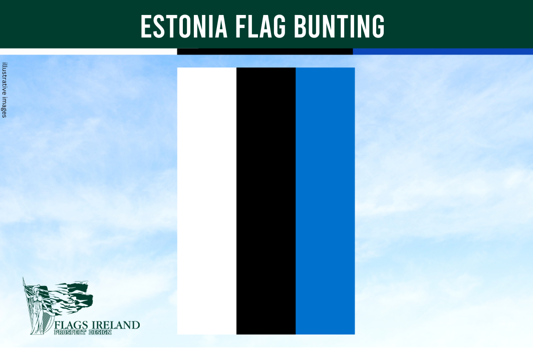 Estonia flag bunting with black and blue stripes on a light blue background, branded by Flags Ireland.