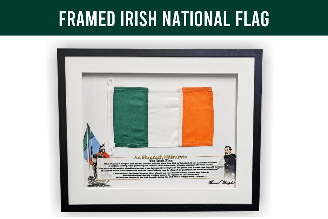 Frames Irish National Flag against a white wall