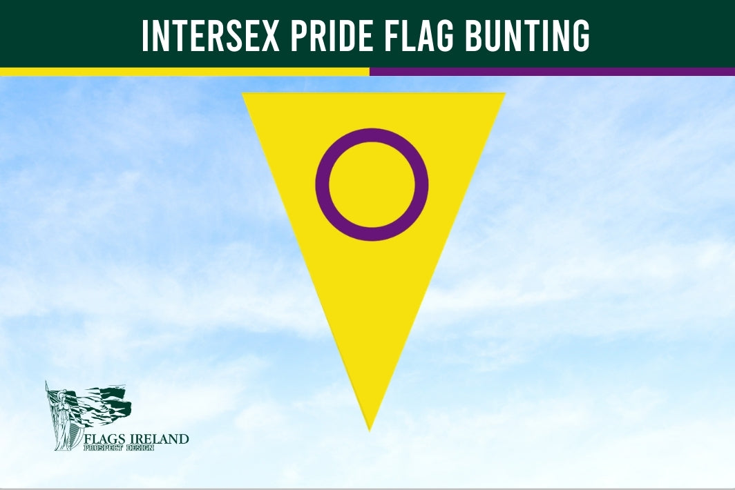 Intersex pride flag bunting with a yellow triangle and purple circle against a blue sky, featuring the Flags Ireland logo.
