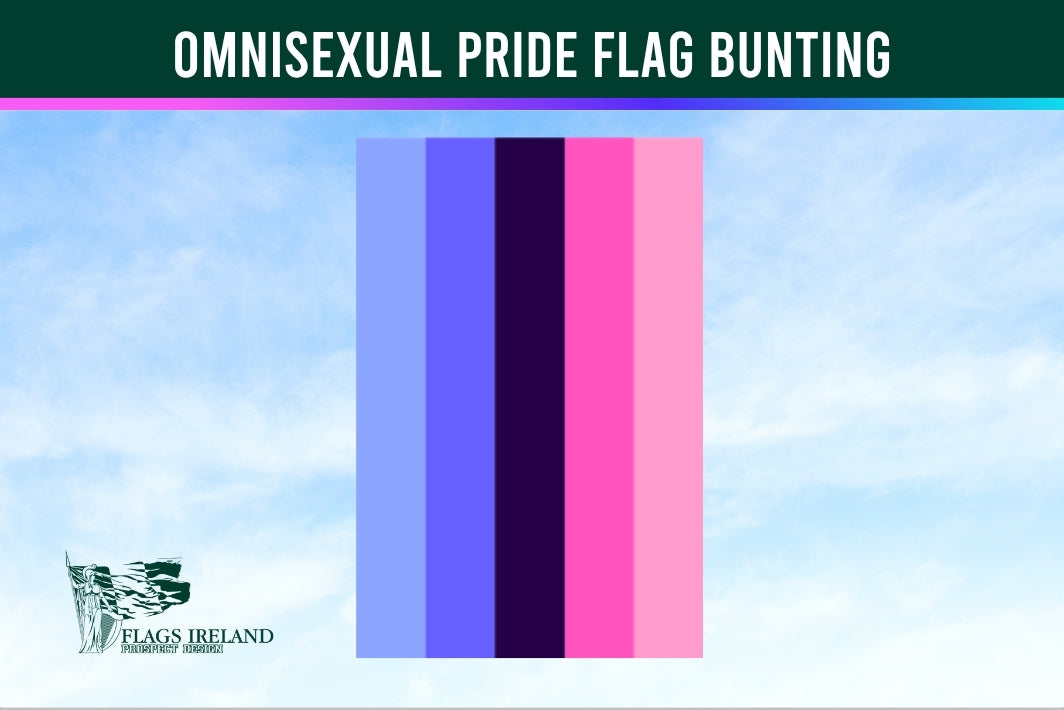 Omnisexual pride flag bunting with a clear sky background and 'Flags Ireland' logo.