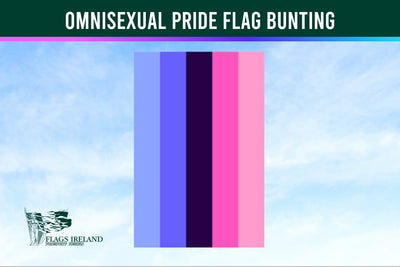 Omnisexual pride flag bunting with a clear sky background and 'Flags Ireland' logo.