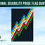 Original Disability Pride Flag Bunting with colorful zigzag pattern on a blue sky background, featuring the Flags Ireland logo.