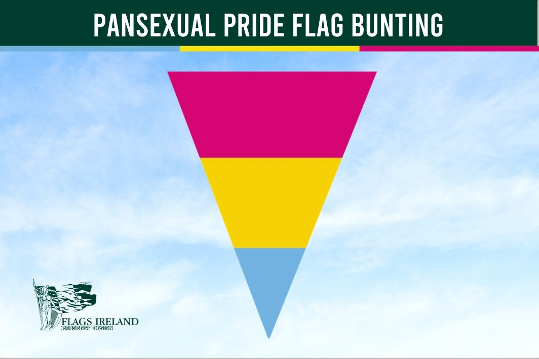 Pansexual pride flag bunting with a blue sky background and 'Flags Ireland' logo.