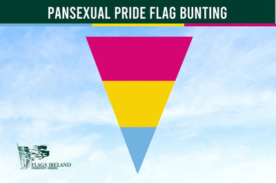 Pansexual pride flag bunting with a blue sky background and 'Flags Ireland' logo.