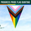 Progress Pride Flag bunting with a clear sky background, featuring the Flags Ireland logo.