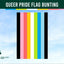 Queer Pride Flag Bunting