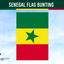Senegal flag bunting with a green star on a blue sky background, featuring the brand 'Flags Ireland'.