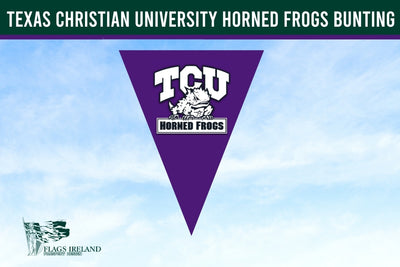 Purple triangle-shaped bunting with TCU Horned Frogs logo against a blue sky