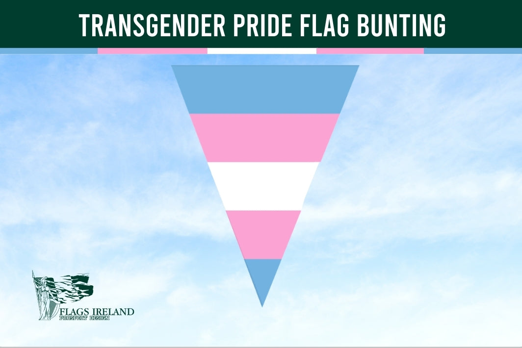 Transgender pride flag bunting with a blue sky background and 'Flags Ireland' logo.