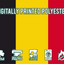 Belgium National Flag