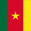 Cameroon National Flag