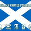 Scotland - St. Andrew's Cross Flag