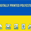 Ukraine National Flag