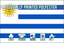 Uruguay National Flag
